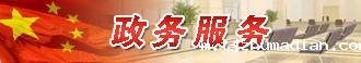 政务服务