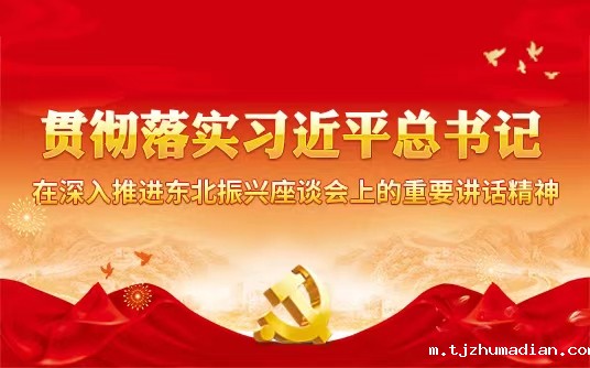 贯彻落实习近平总书记在深入推进东北振兴座谈会上的重要讲话精神